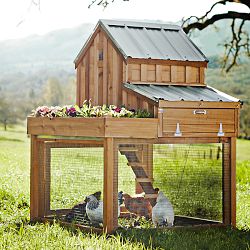 Cedar Chicken Coop &amp; Run with Planter