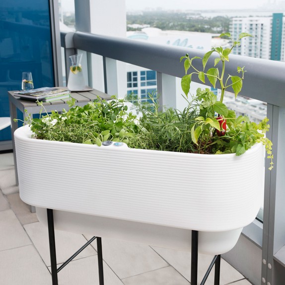 Nest Raised Bed Planter by Williams Sonoma Home