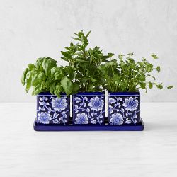 Blue &amp; White Ceramic Herb Tray with Pots, Set of 3