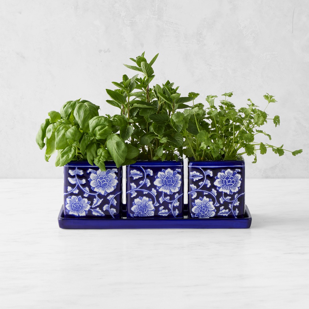 Blue & White Ceramic Herb Tray with Pots, Set of 3 - Set of 3