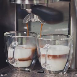 Espressione Combination Espresso Machine &amp; Drip Coffee Maker, 10-cup