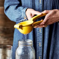 Williams Sonoma Open Kitchen Lemon Press - Thumbnail 5