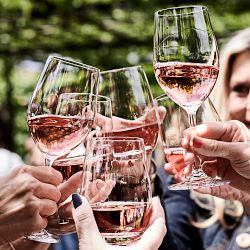 Open Kitchen by Williams Sonoma Stemless White Wine Glasses