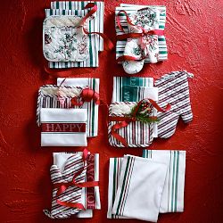 Williams Sonoma Classic Stripe Oven Mitt