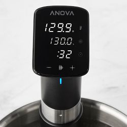Anova Precision® Pro Sous Vide Cooker with Wi-Fi
