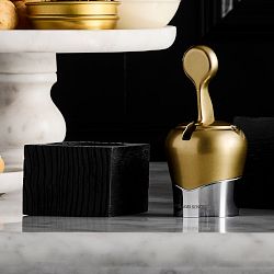 Williams Sonoma Champagne Stopper