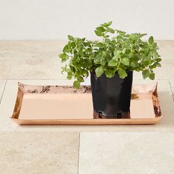OPEN BOX: Copper Hammered Tray, Large