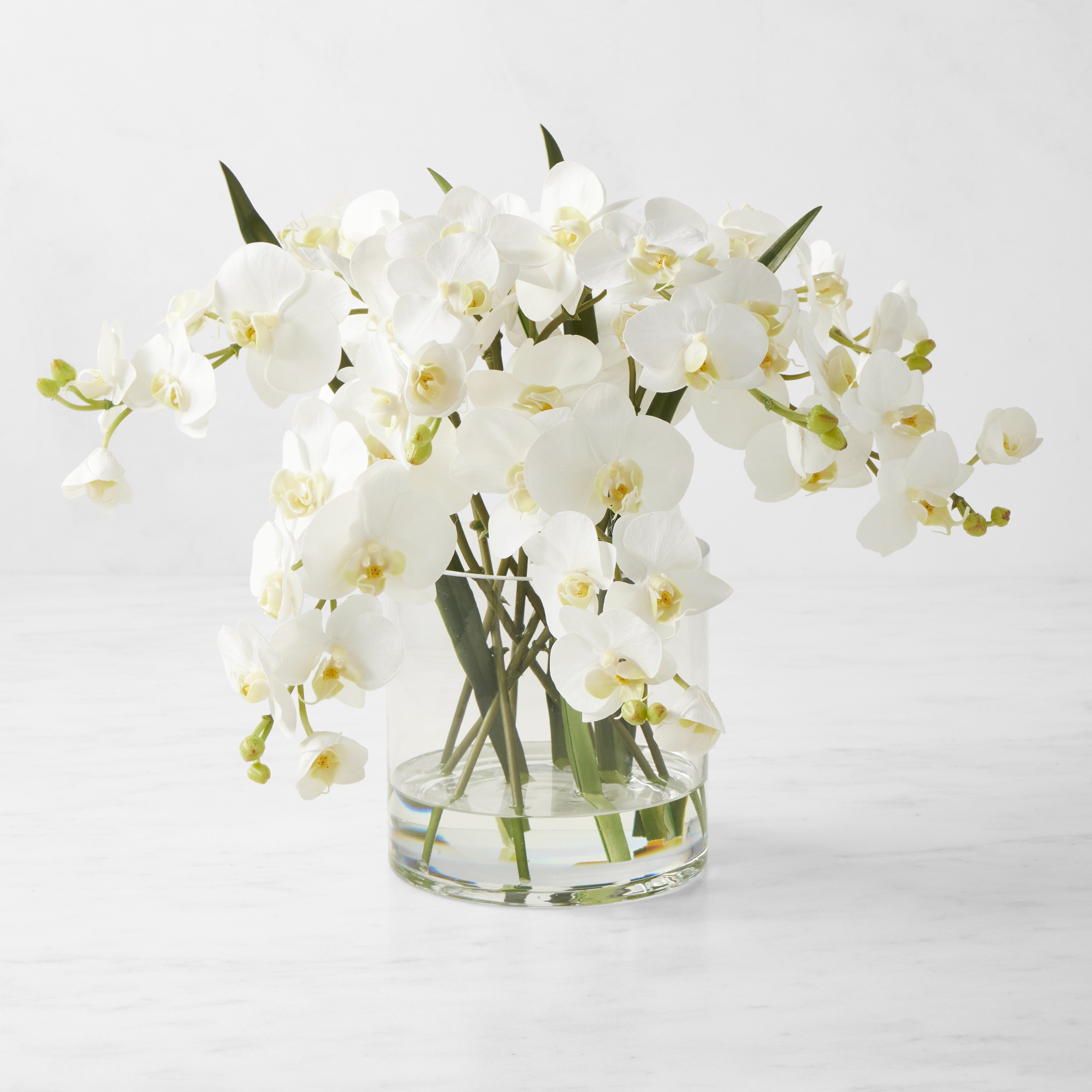 Faux White Orchid Phalaenopsis in Glass Vase Simolary simolary.com