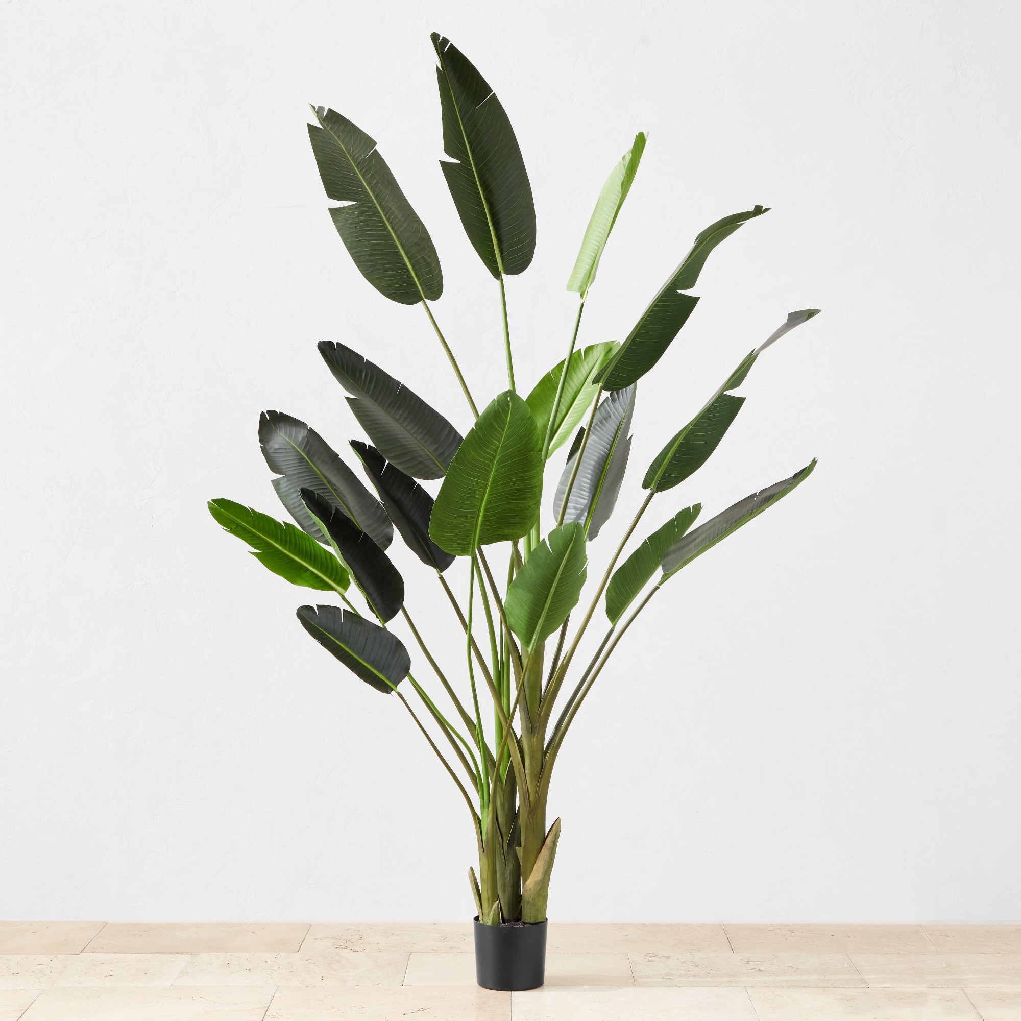 Faux Bird Of Paradise Plant in Plastic Pot, 18 Leaves, 93″ Simolary simolary.com