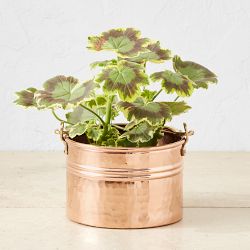 Copper Round Ribbed Planter, Medium