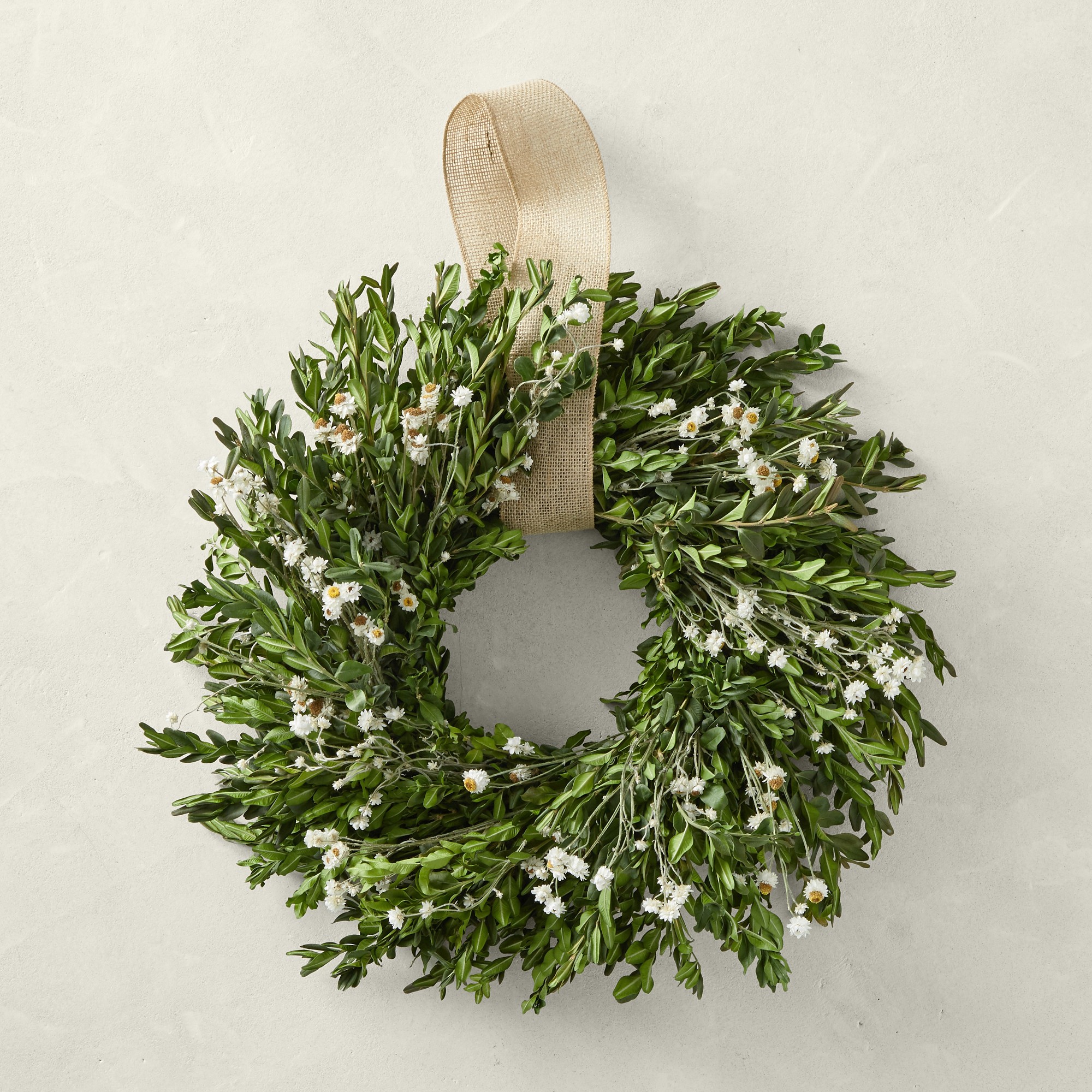 Field of Daisies Live Wreath, 20″ Simolary simolary.com