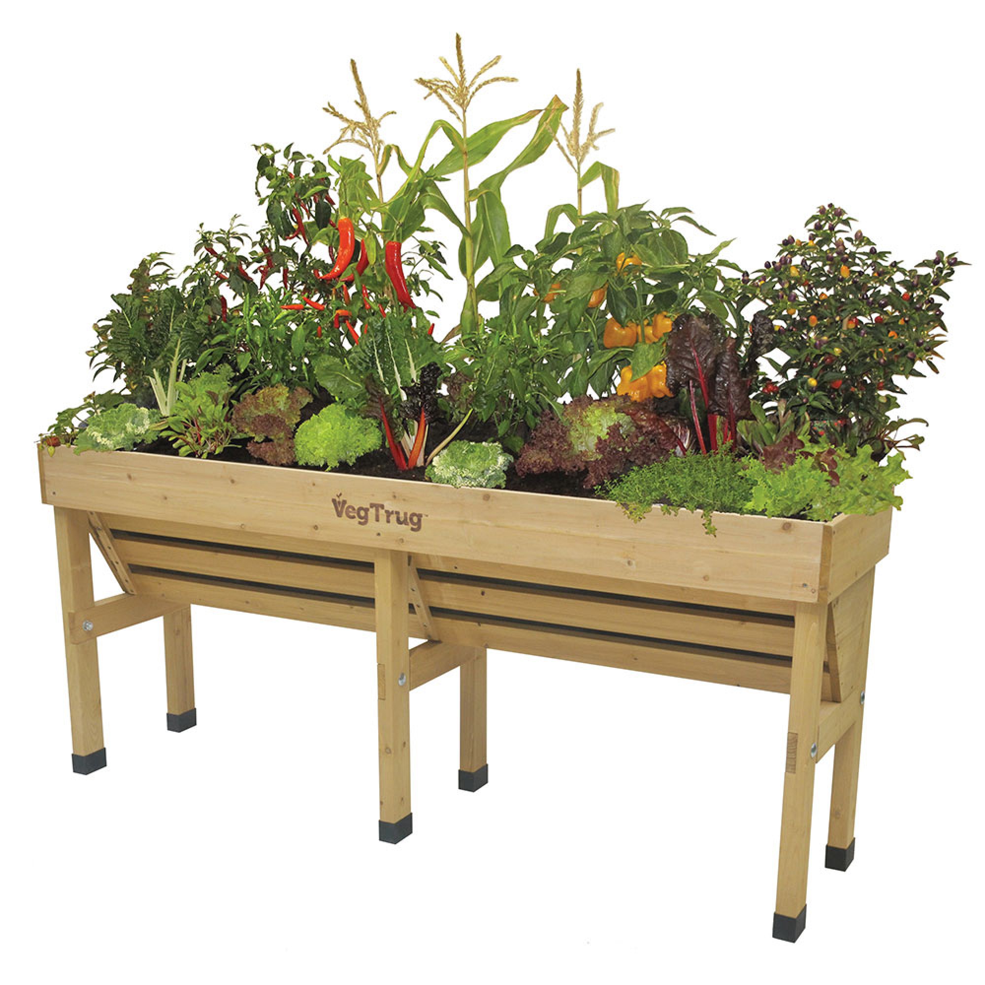 VegTrug Wallhugger, Medium Simolary simolary.com