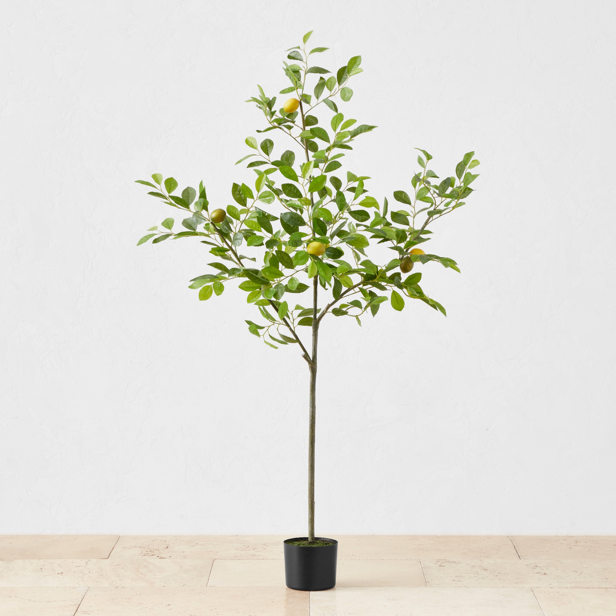 Faux Lemon Tree, 3′-5′ Simolary simolary.com