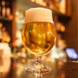 Williams Sonoma Tulip Beer Glasses, Set of 4