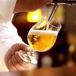 Williams Sonoma Tulip Beer Glasses, Set of 4