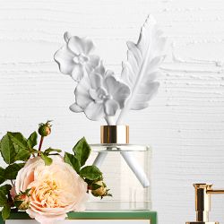 Home Fragrance Orchid &amp; Fern Porcelain Diffuser