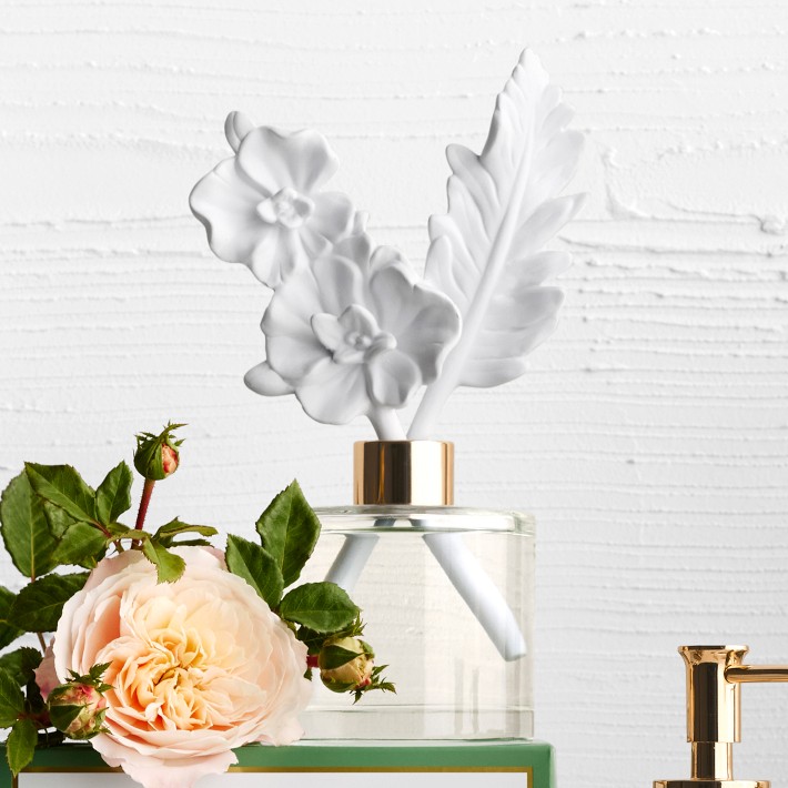 home-fragrance-orchid-fern-