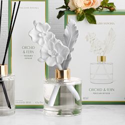 Home Fragrance Orchid &amp; Fern Reed Diffuser