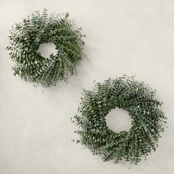Baby Eucalyptus Live Wreath
