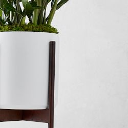 Live Large Zanzibar Gem Indoor House Plant, 1'-3'