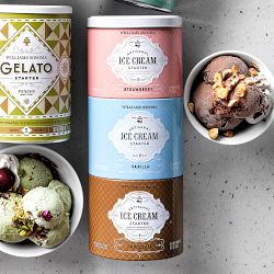 Williams Sonoma Ice Cream Starter Sampler: Vanilla, Chocolate, Strawberry