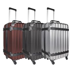 VinGardeValise Grande Wine Luggage, 12 Bottles