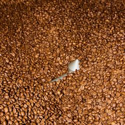 Verve Coffee Roasters Vancouver Decaf Blend Coffee Beans