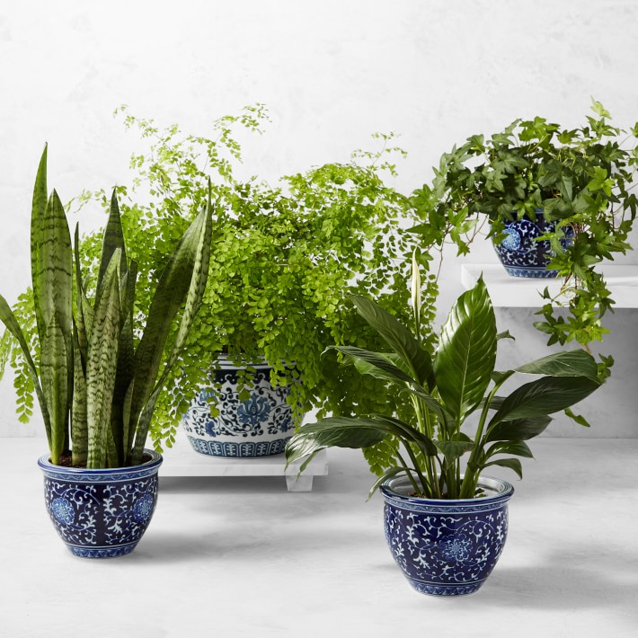 planters cement Natural Rattan Texture Cement Planter main image 1