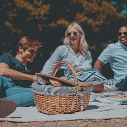 alexiastam Sunday's Picnic 上下セット ひさん専用 Granada Picnic Basket Split-Lid Set | Williams Sonoma