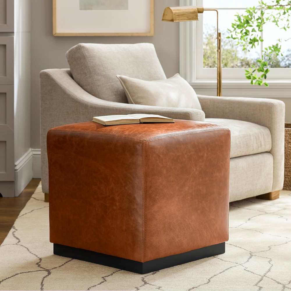 Robertson Cube (21") by Williams Sonoma Home