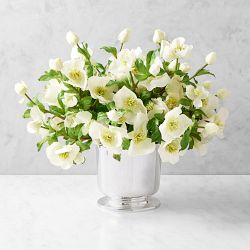 AERIN x Williams Sonoma Real Touch Faux White Hellebores Bouquet