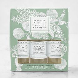 Williams Sonoma Rosemary Eucalyptus Kitchen Essentials Kit