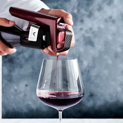 Schott Zwiesel Vervino Burgundy Wine Glasses