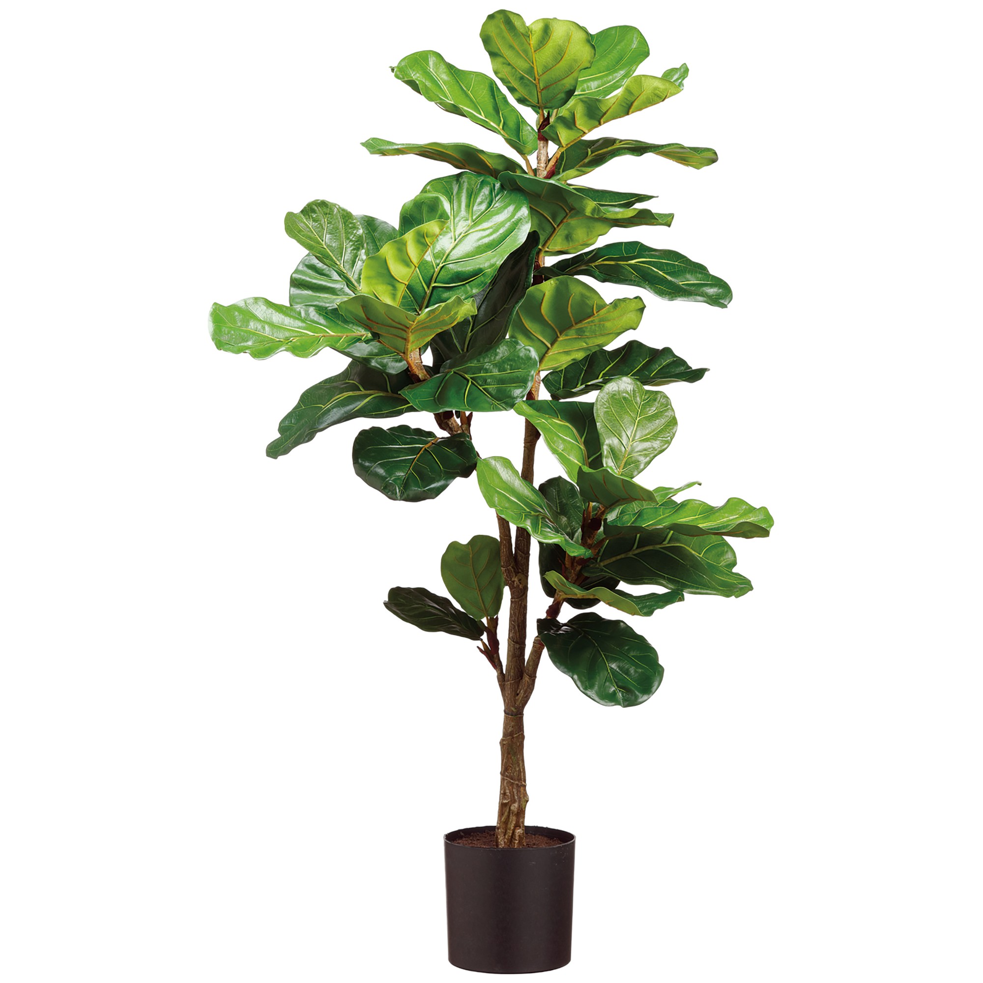 Faux Fiddle Leaf Plant in Plastic Pot, 56′” Simolary simolary.com