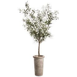 OPEN BOX: Faux Olive Tree in Cement Planter, 72"