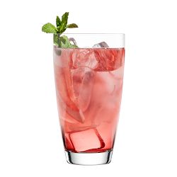 Fortessa Era Tall Tumbler, Set of 4