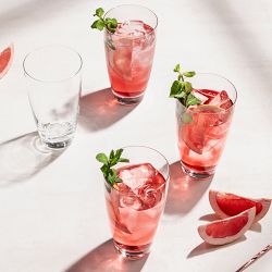 Fortessa Era Tall Tumbler, Set of 4