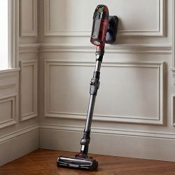 Rowenta X-Force Flex 12.60 RH98A2U1