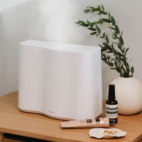 Fans &amp; Air Purifiers