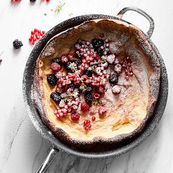 Williams Sonoma Signature Thermo-Clad™ Stainless-Steel Nonstick Fry Pan