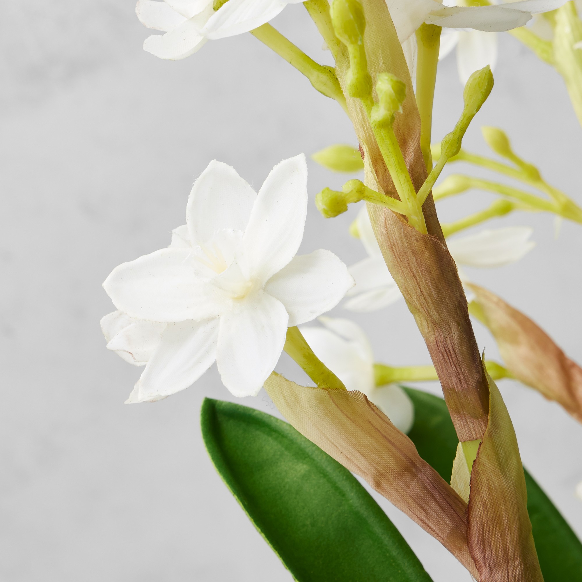 Jeff Leatham x Williams Sonoma Faux Holiday Paperwhites in Cement Planter Sansujyuku sansujyuku.com
