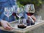 Video 1 for Williams Sonoma Reserve Champagne Flutes