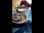 Video 4 for All-Clad G5™ Graphite Core Stainless-Steel 10-Piece Cookware Set
