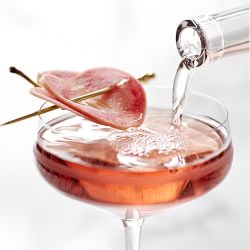 Williams Sonoma Coupe Cocktail Glasses