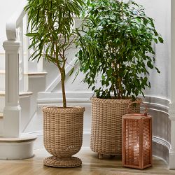 AERIN x Williams Sonoma Home East Hampton Planter | Williams Sonoma