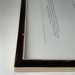 OPEN BOX:Horn and Bone Picture Frame, Dark, 8" X 10"