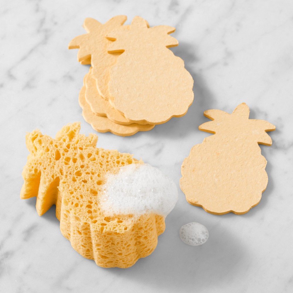 Williams Sonoma Pineapple Sponges