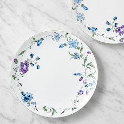 Hill House x Williams Sonoma Climbing Vine Salad Plates
