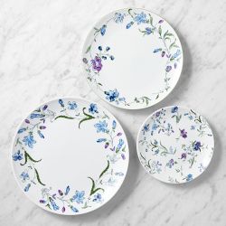 Hill House x Williams Sonoma Climbing Vine 12-Piece Dinnerware Set, Blue