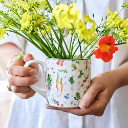 Hill House x Williams Sonoma Mugs